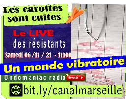 Les carottes sont cuites 06 11 2021 LE MONDE VIBRATOIRE