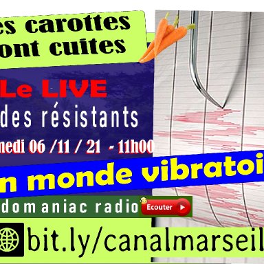 Les carottes sont cuites 06 11 2021 LE MONDE VIBRATOIRE