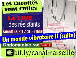 Les carottes sont cuites 13 11 2021 LE MONDE VIBRATOIRE 2