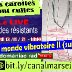 Les carottes sont cuites 13 11 2021 LE MONDE VIBRATOIRE 2