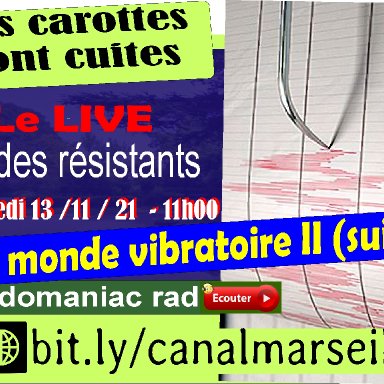 Les carottes sont cuites 13 11 2021 LE MONDE VIBRATOIRE 2