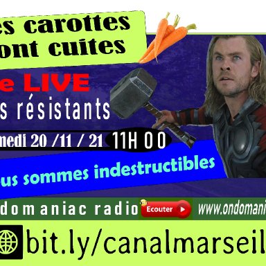 Les carottes sont cuites 20 11 2021 NOUS SOMMES INDESTRUCTIBLES