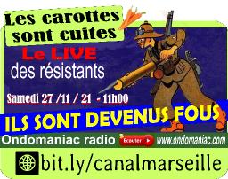 Les carottes sont cuites 27 11 2021 ILS SONT DEVENUS FOUS