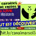 Les carottes sont cuites 04 12 2021 TOUT EST DECOUVERT