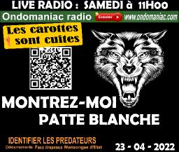 LES CAROTTES SONT CUITES - 23 04 2022 - Montez nous patte blanche