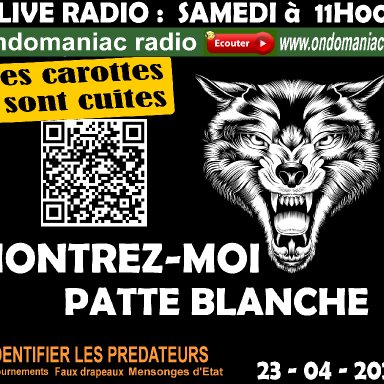 LES CAROTTES SONT CUITES - 23 04 2022 - Montez nous patte blanche