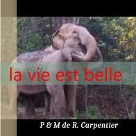 la vie est belle