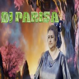 Somebody  (Extended version) DJ  Parisa Slam Hip Hop Rap  (Official Video)