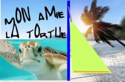 Mon amie la tortue de mer