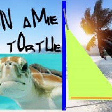 Mon amie la tortue de mer