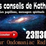 Les papillons ces messagers spirituels