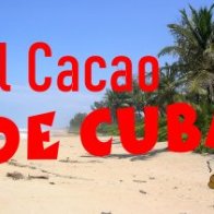 Le Cacao de Cuba
